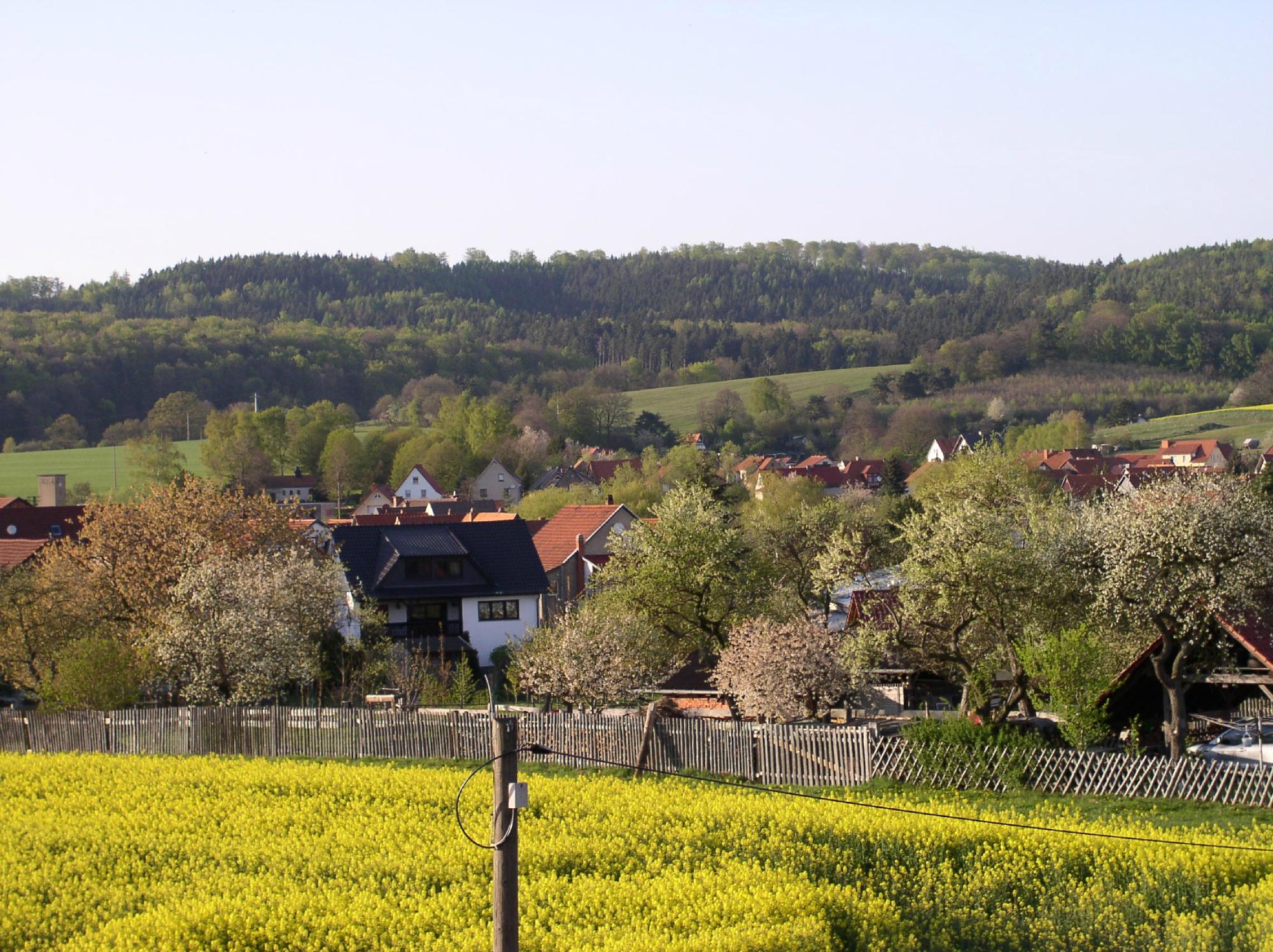 Apartments Norbey-官方