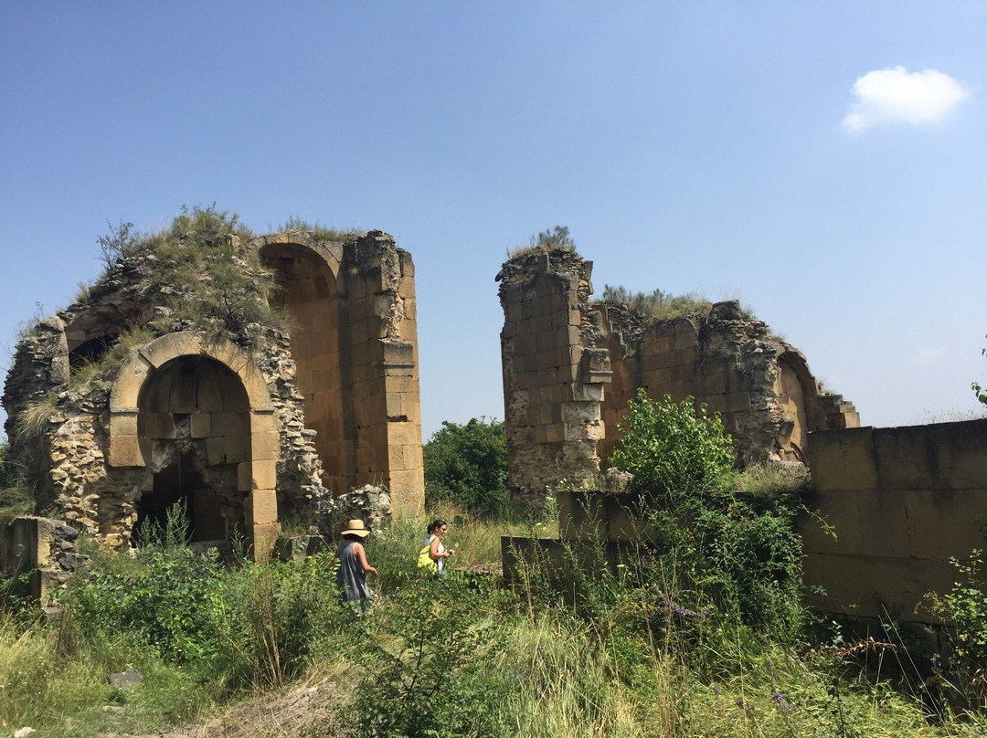 Samshvilde Ancient Settlement's Ruins