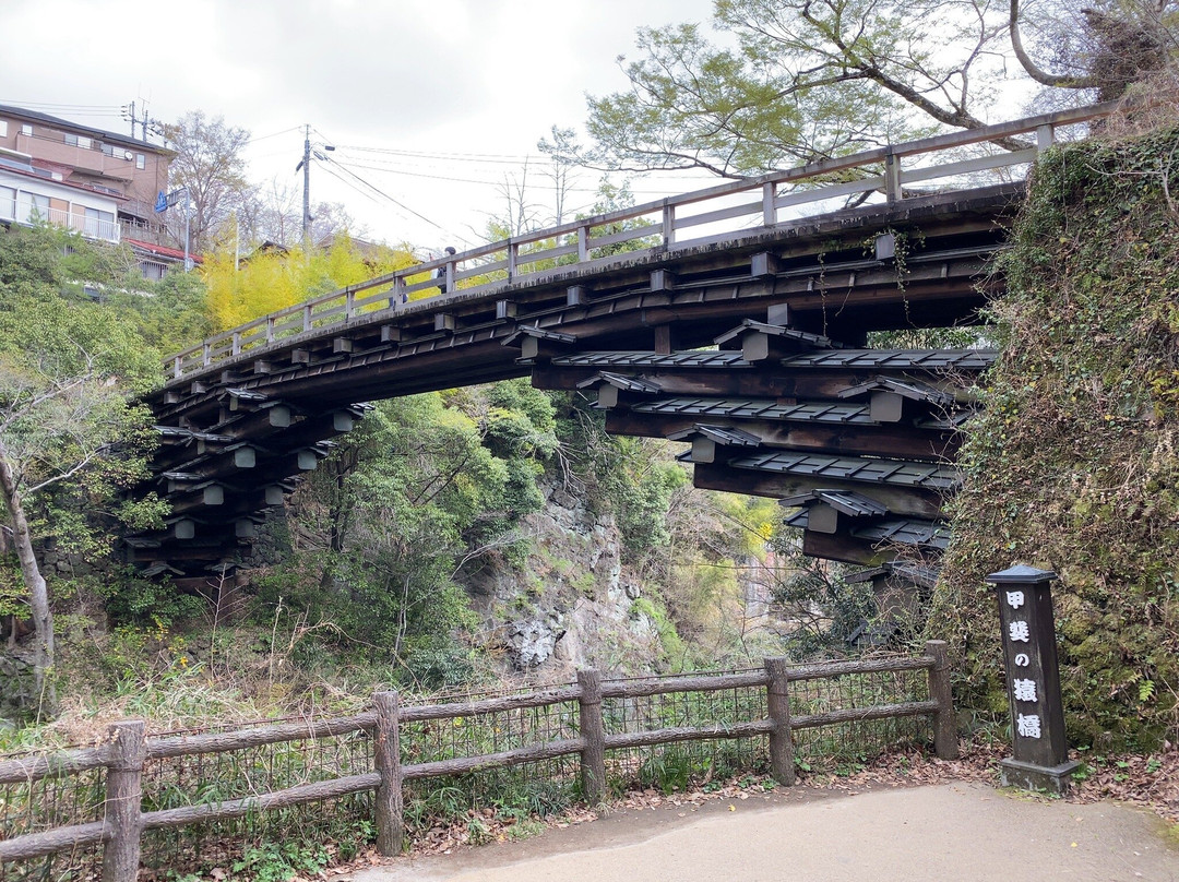 Saru Bridge景点图片