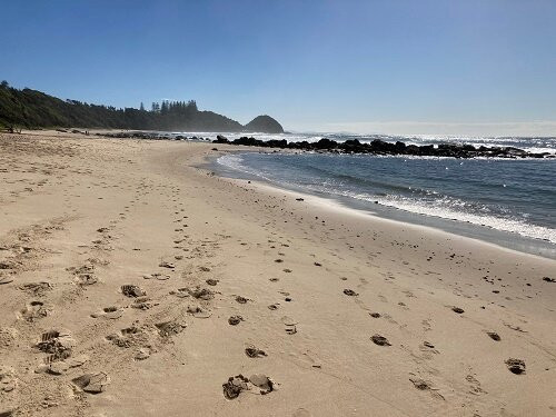 Shelly Beach-麦克夸利港必去景点
