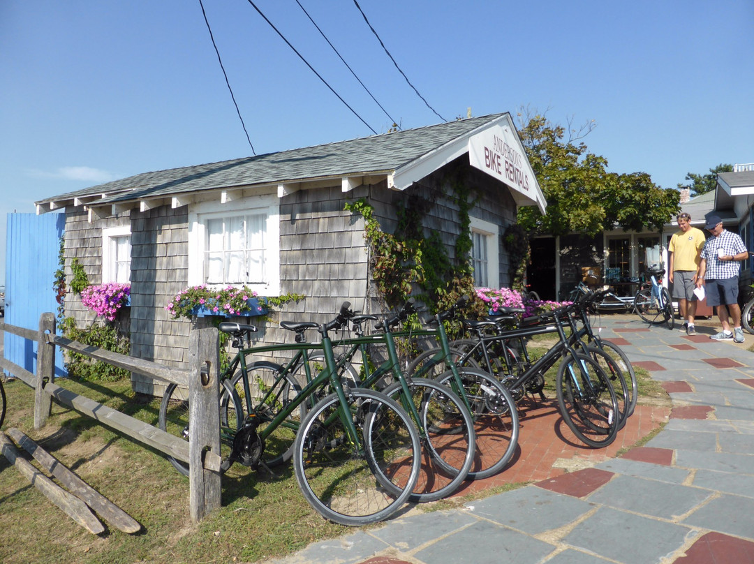 Anderson's Bike Rentals景点图片
