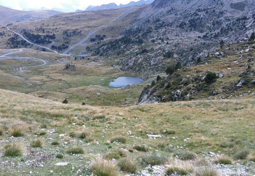 Campea Forest Tour-恩坎普必去景点