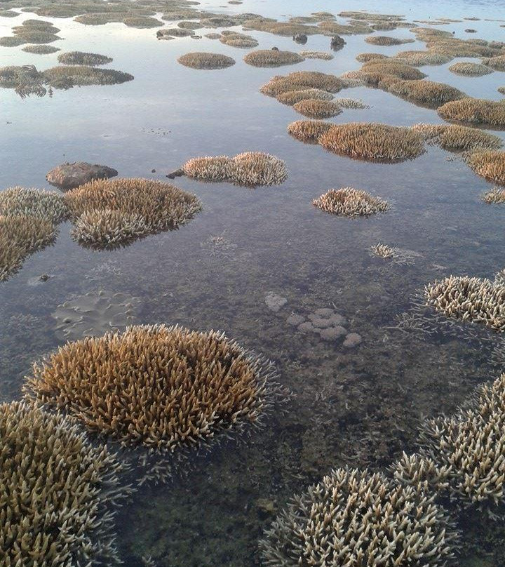 Hulao-Hulao Reef景点图片