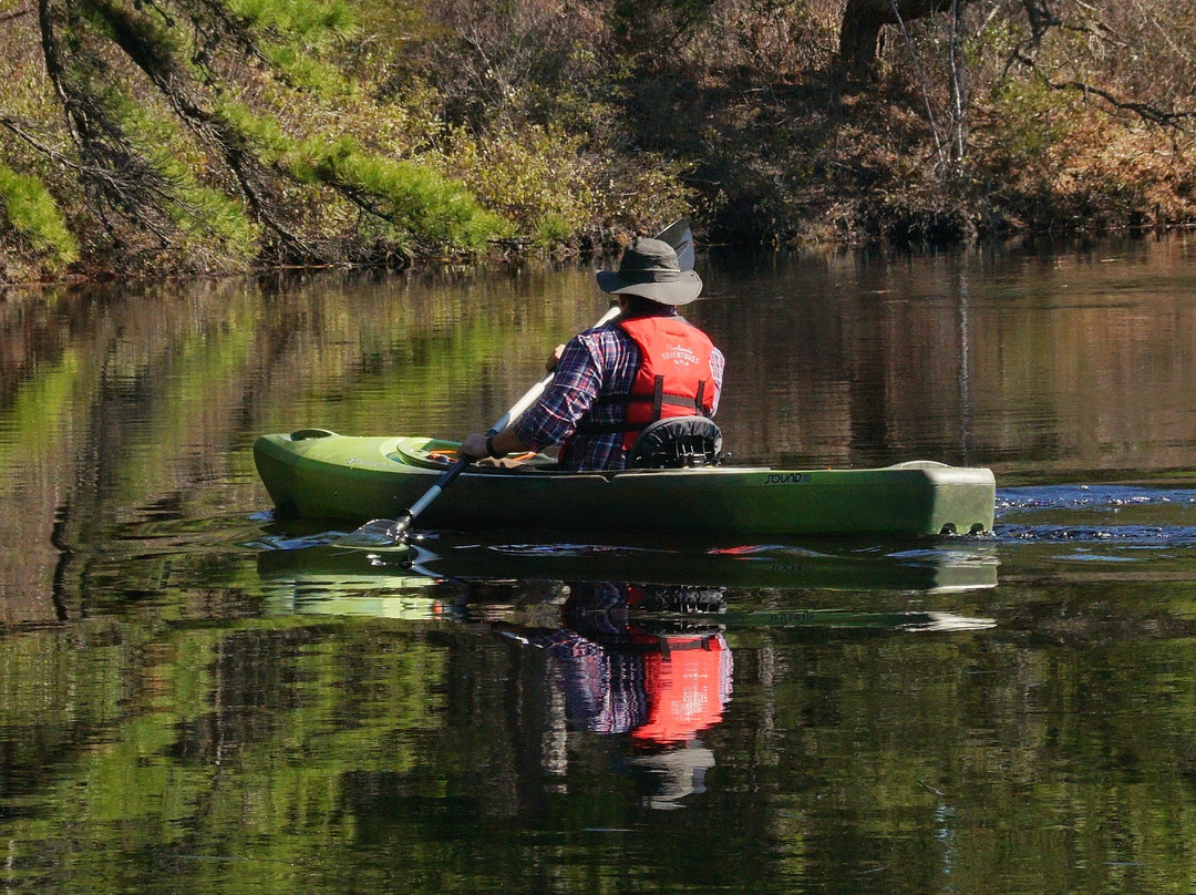 Pinelands Adventures景点图片