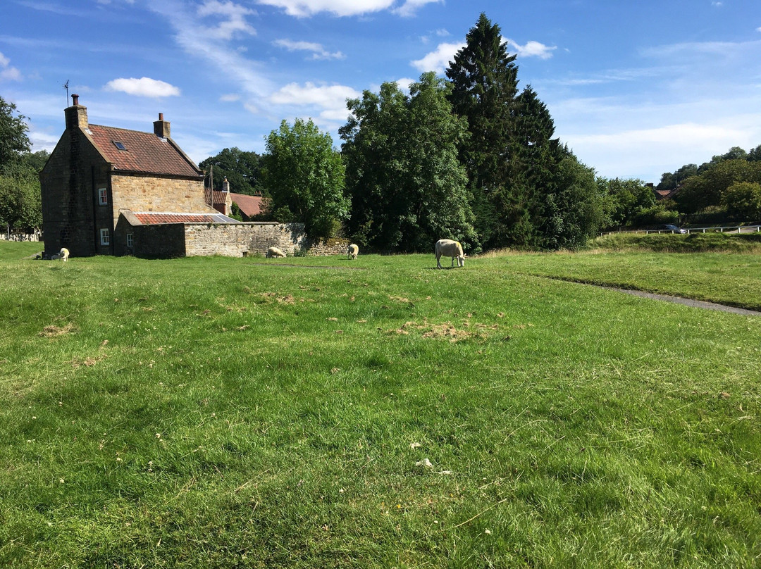 High Bentham旅游景点-Farndale (North York Moors National Park)