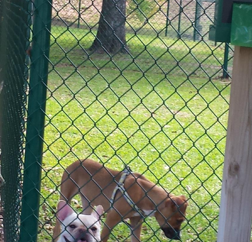 Dublin Visitors Center-Dublin必去景点