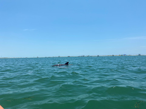 Pops Paddle Board And Kayak Rentals