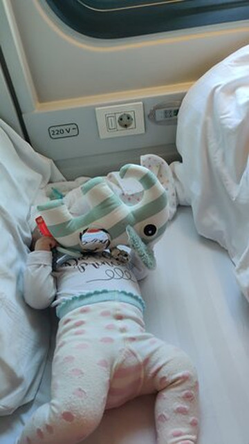 Strizh Train-莫斯科必去景点