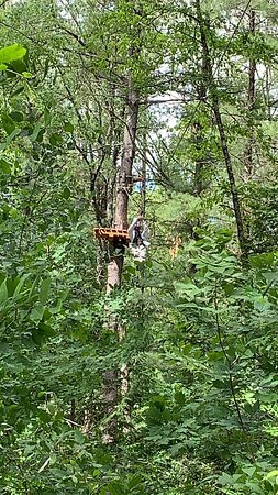 Treetop Trekking - Ganaraska景点图片