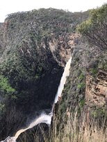 Dangars Falls景点图片