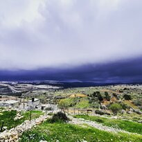 Holy Local Aliens-耶路撒冷必去景点