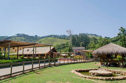 Go Organic Experience主图