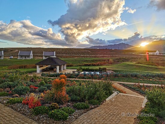 Rijks Wine Estate & Hotel-酒店景观