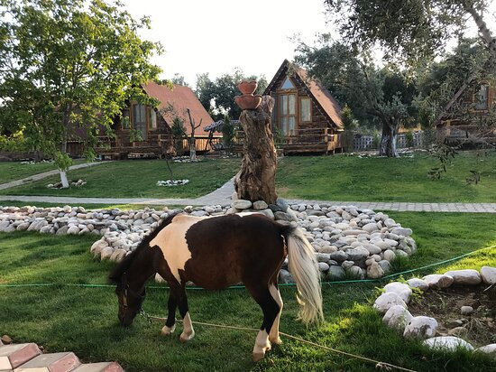 Ida Natura Kazdaglari Bungalov Hotel主图