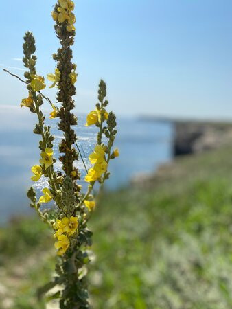 Cape Tarkhankut-Olenevka必去景点