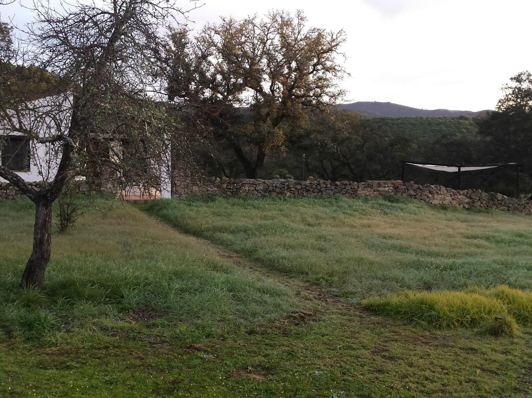 Finca Arroyo La Jara