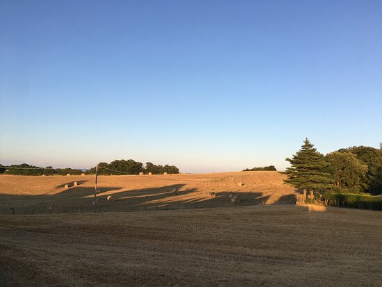 Bed & Breakfast Podere Ospedaletto主图