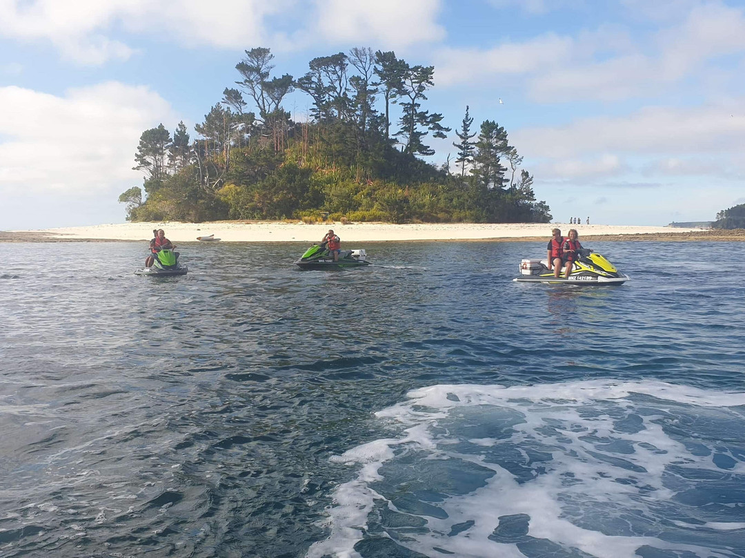 Hibiscus Jetski Hire-旺阿帕劳阿必去景点