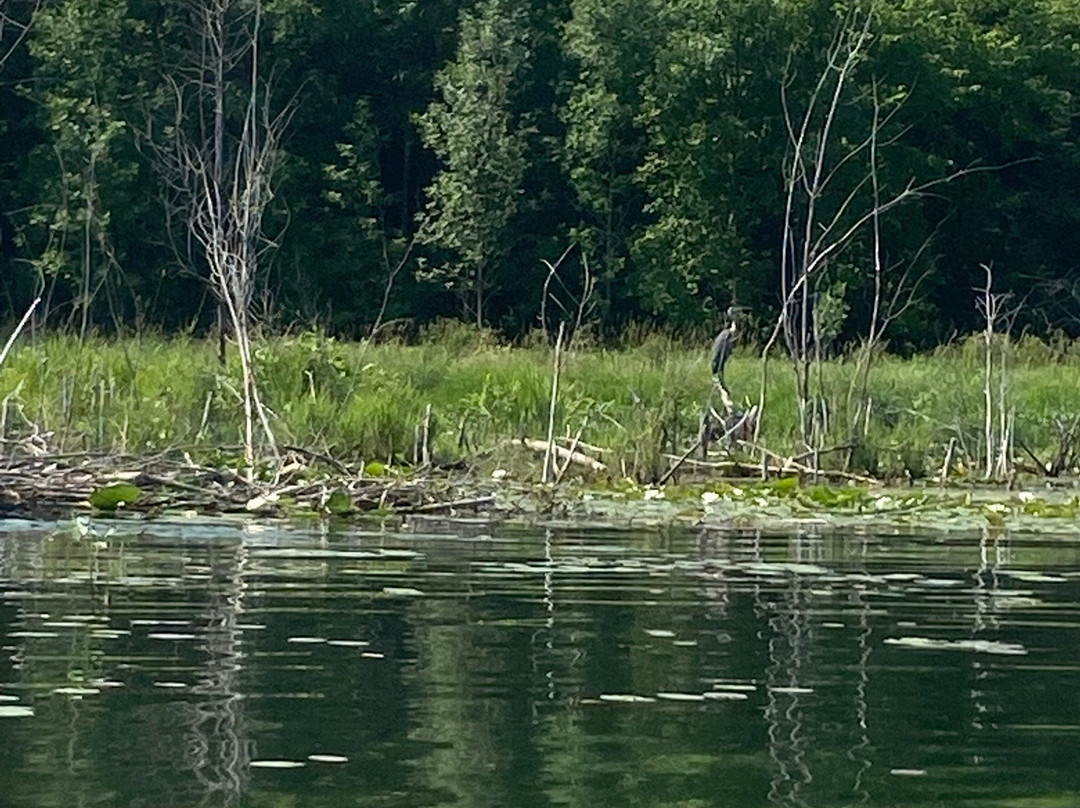 Captain Shawn's Charters and Rental-Lindstrom必去景点