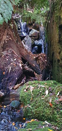 Myrtle Gully Aka Oates Falls景点图片
