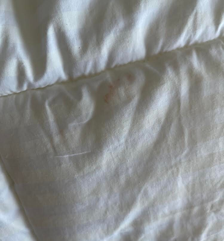 Residence Inn by Marriott Portsmouth Downtown/Waterfront主图