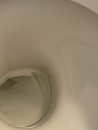 Aeolos Beach Hotel主图