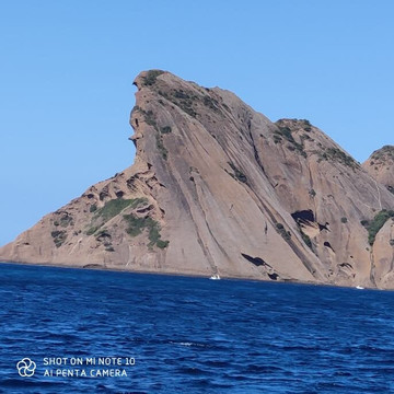 My Sail Croisiere Mediterranee-Six-Fours-les-Plages必去景点