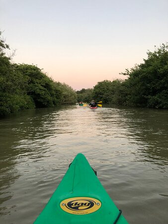 Les Canoës du Marais景点图片