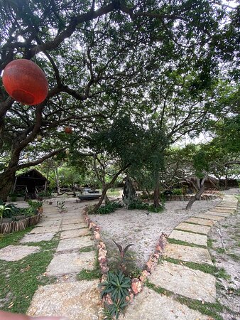 Ciamat Camp-官方