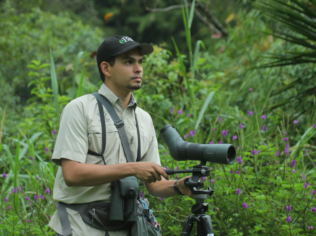 Johan Chaves - Nature and birding Tours景点图片