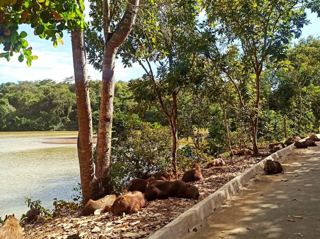 Cesamar Park-Palmas必去景点