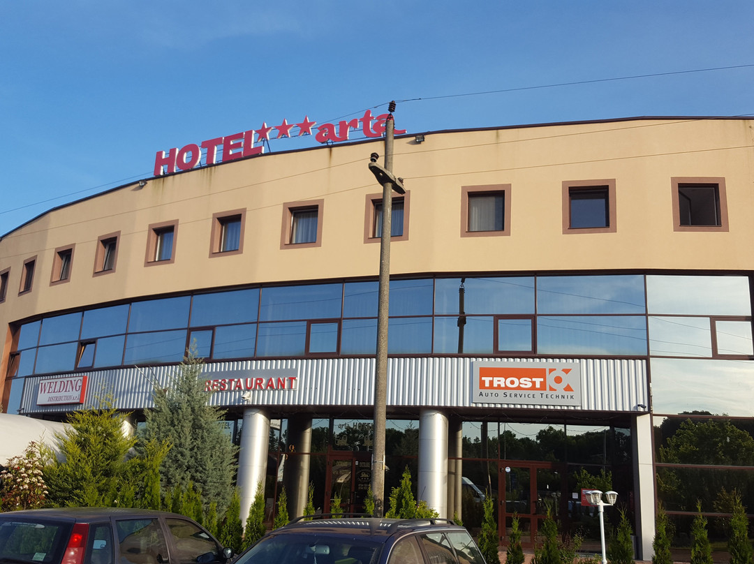 Arta Hotel Timisoara