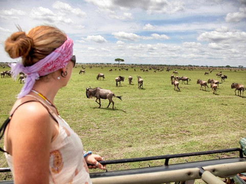 Migration Venture Africa