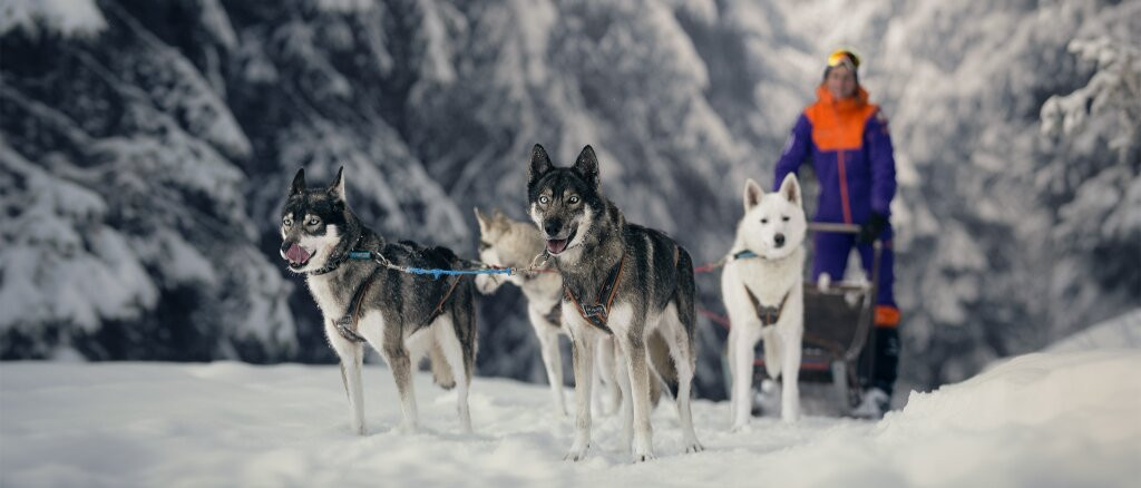 Team Des Loups Du Val De They