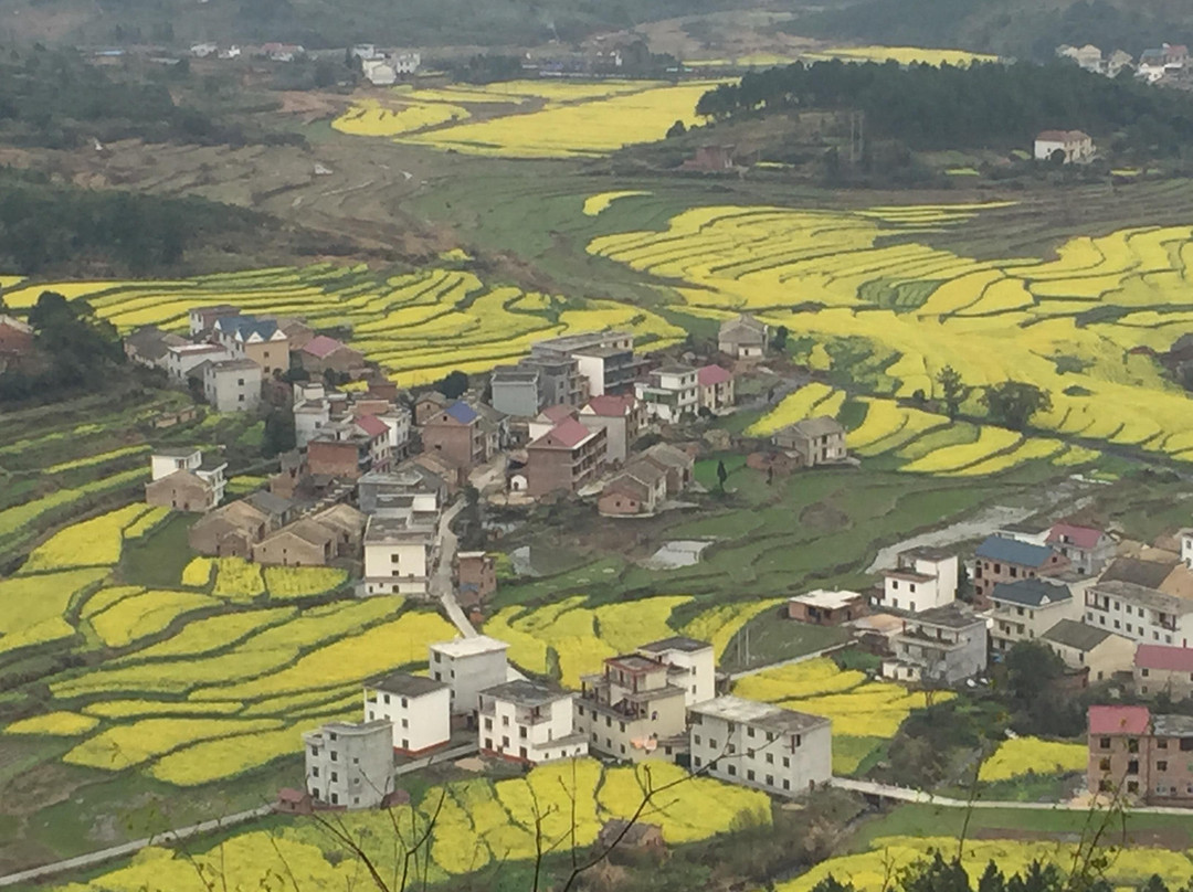 莲花县旅游攻略图片