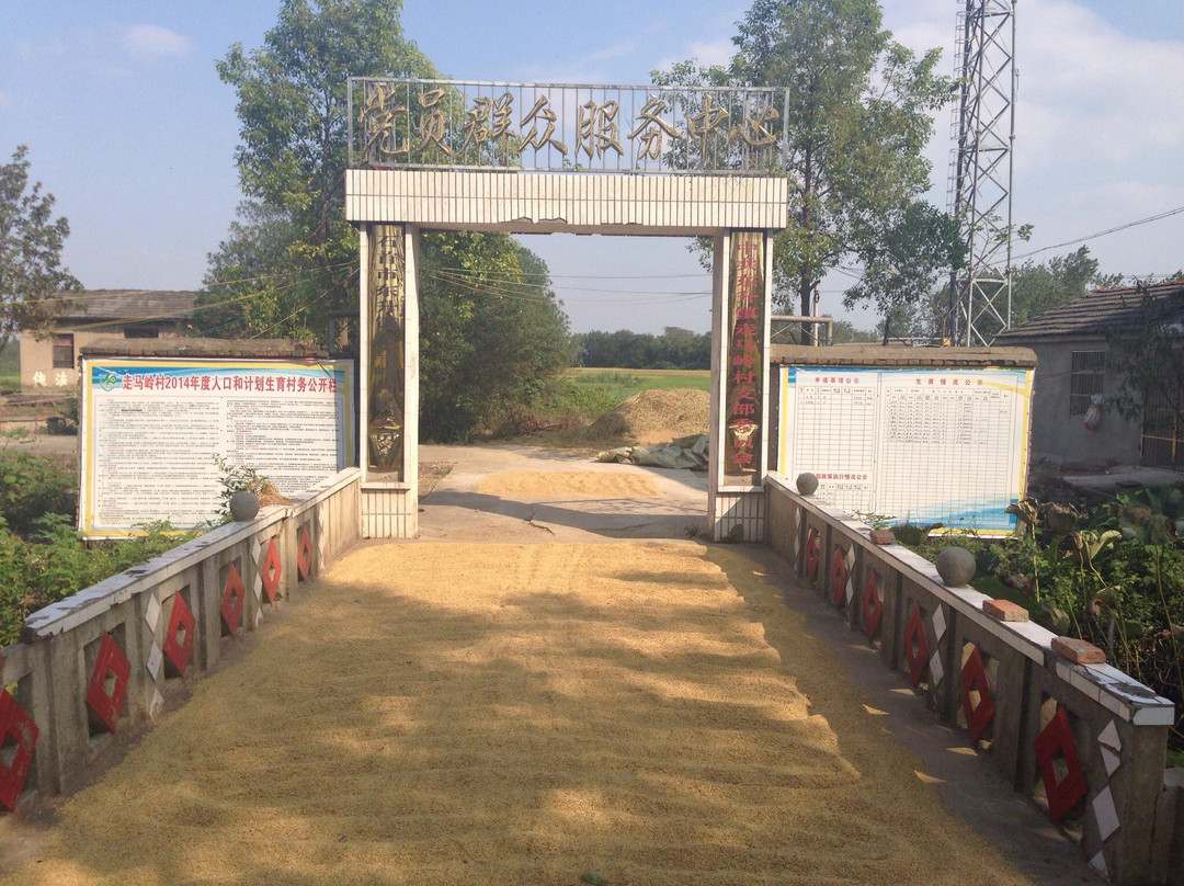 石首旅游攻略图片