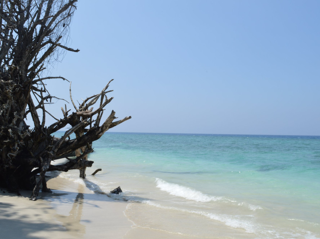 North Andaman Island旅游攻略图片
