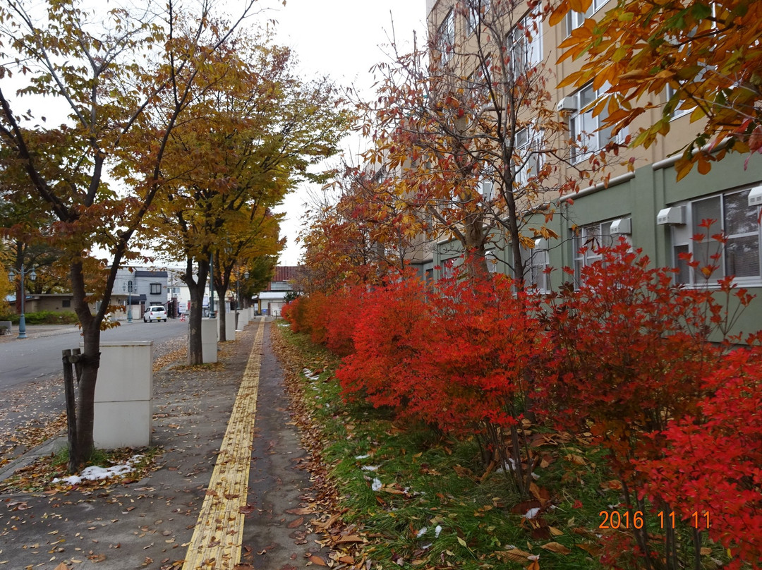 Hirosaki University-弘前市必去景点