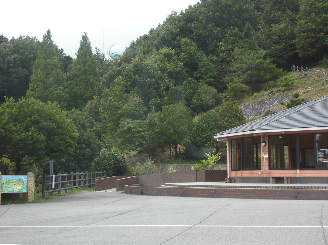 Maruyama Comprehensive Park景点图片