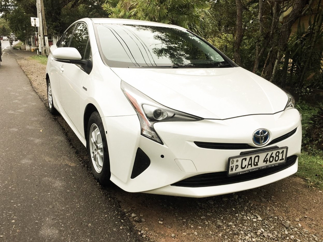 Cay Ceylon Tours-埃勒必去景点