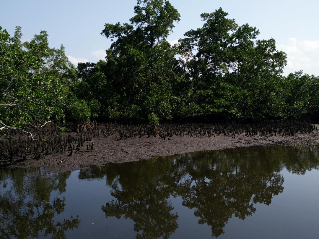 曼诺瓦里旅游景点-Lake Wasti