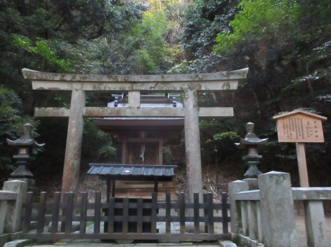 Tokiwa Shrine景点图片