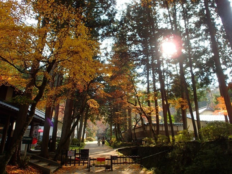 Itohara Family Garden-奥出云町必去景点