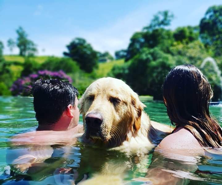 Pousada Gaia Viva-官方