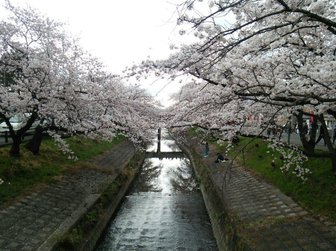 大和高田市旅游攻略图片