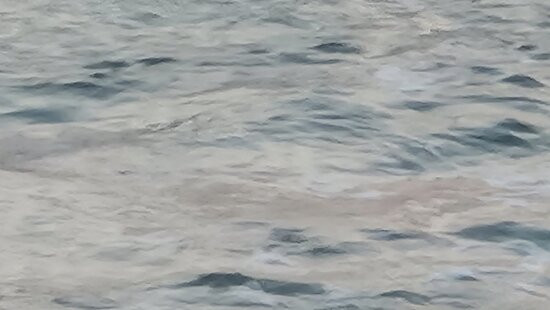 HaTsuk Beach-特拉维夫必去景点