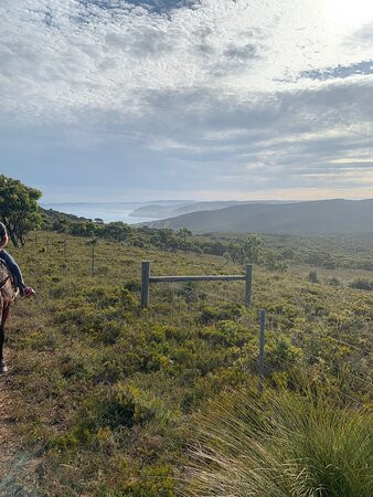 Blazing Saddles-Aireys Inlet必去景点