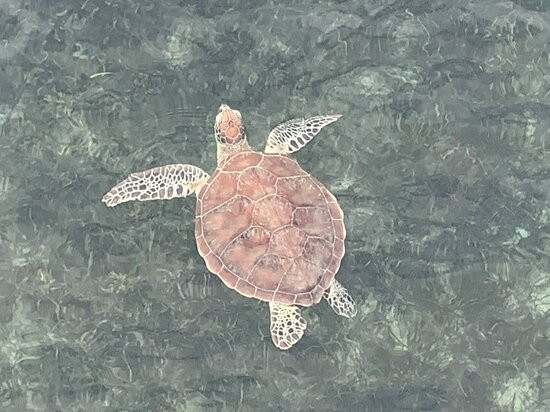 绿岛度假酒店主图