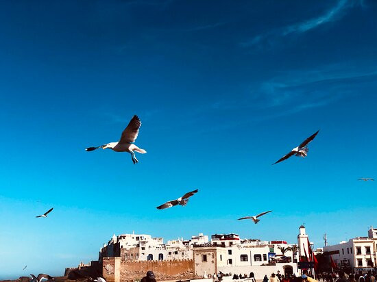 Borj Al Barmil-索维拉必去景点