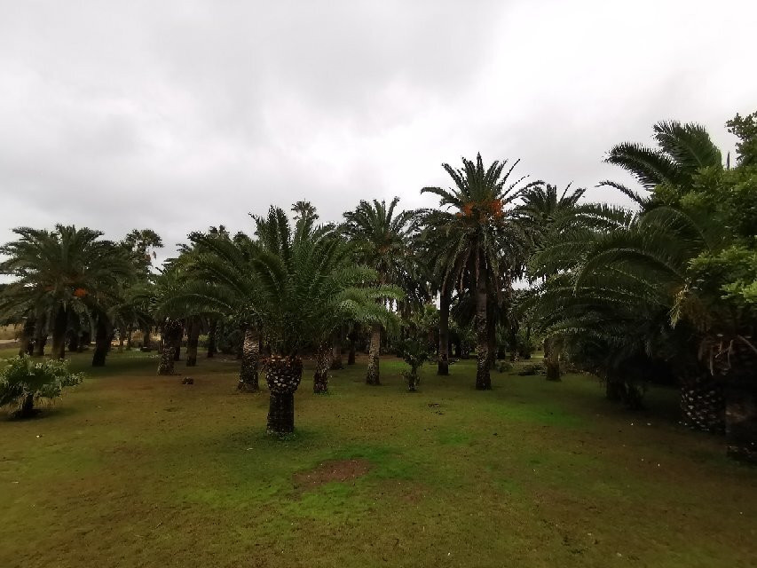 Parque de las Palmeras-梅利利亚必去景点